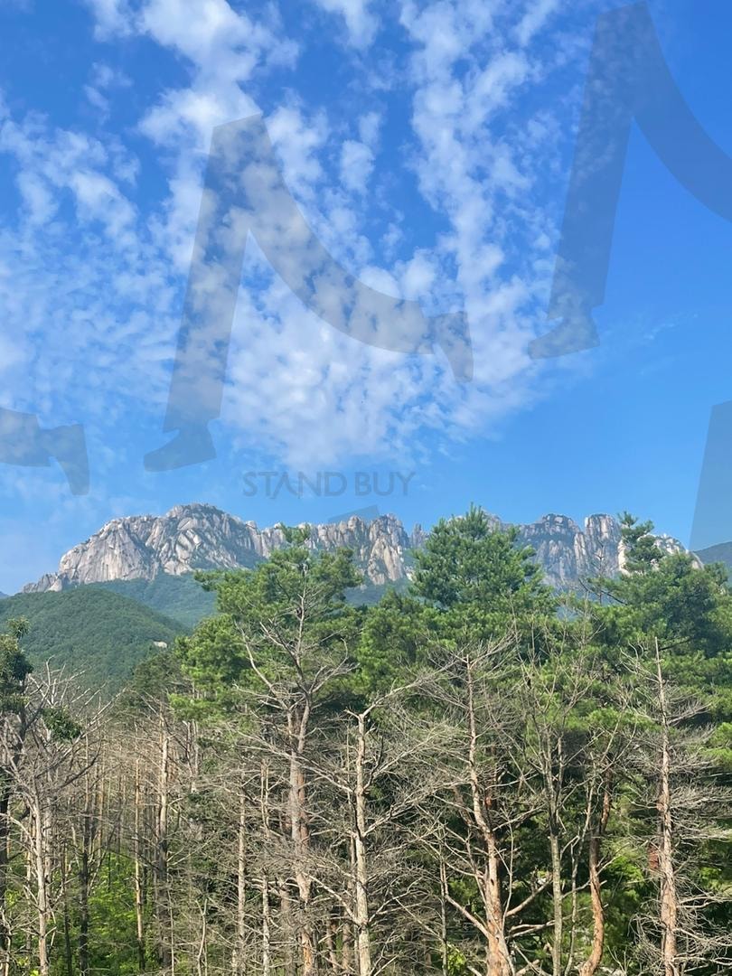 설악산풍경 | 설악산, 울산바위, 풍경, 숲, 자연 | 스탠바이 STANDBUY 디지털 콘텐츠