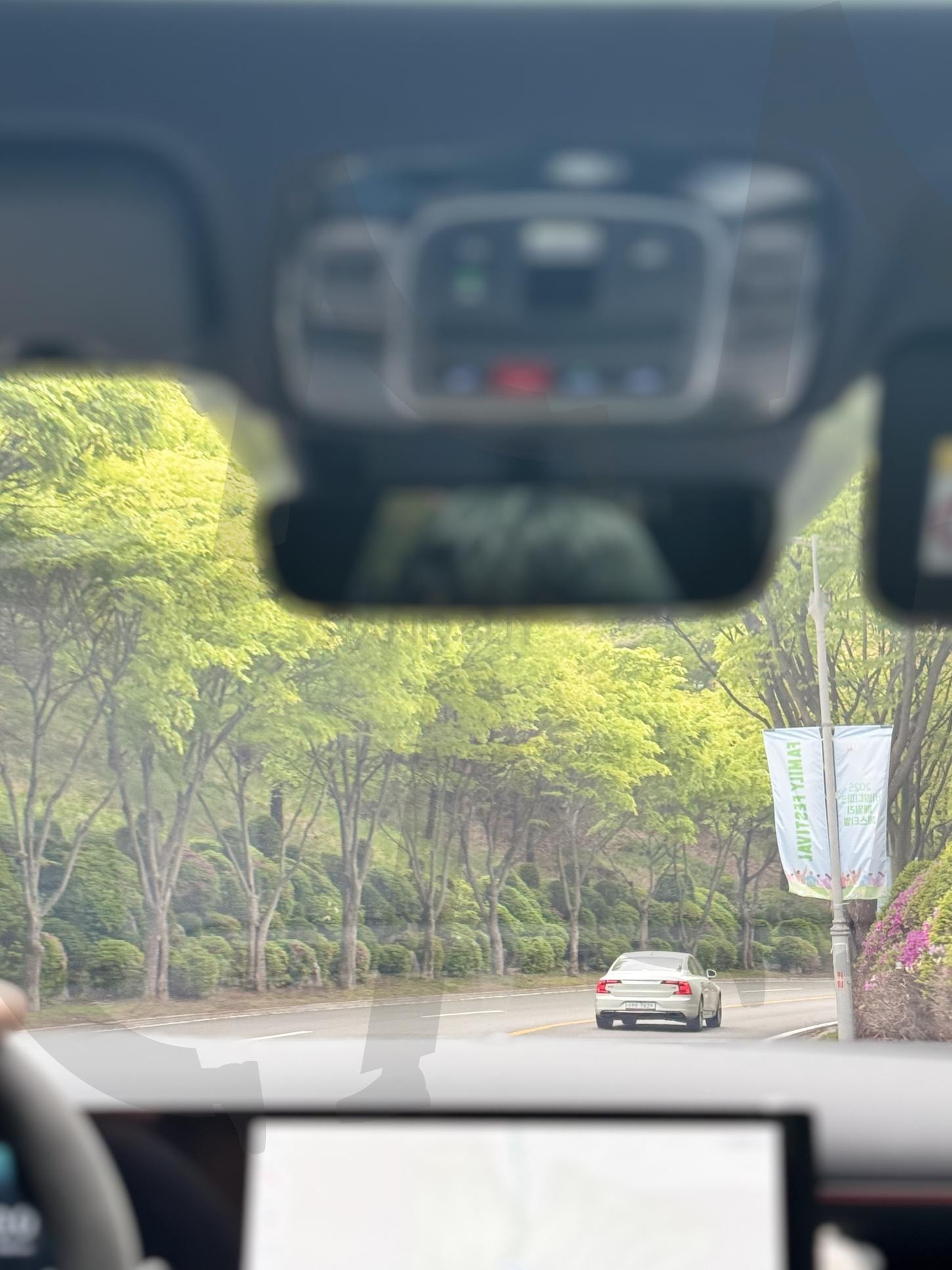 초록에 물든 순간 | 차, 운전, 드라이브, 힐링, 풍경, 푸릇함, 초록, 산, 식물, 숲, 배경화면 | 스탠바이 STANDBUY 디지털 콘텐츠