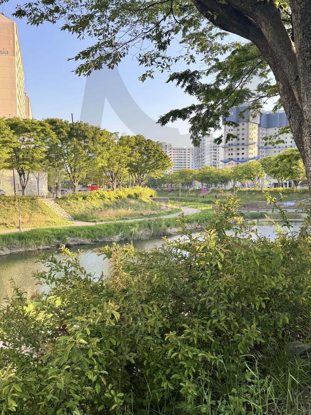 햇살 따라 걷는 안산천의 오후 | 산책, 힐링, 안산천, 초록색, 초록, 운동, 삶, 감성, 배경화면, 고화질 | 스탠바이 STANDBUY 디지털 콘텐츠