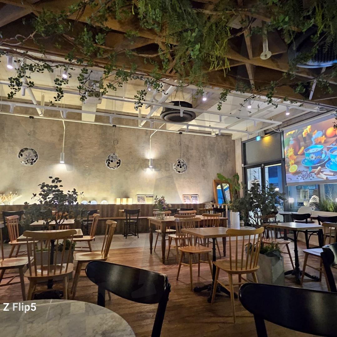 전주 신시가지 브릴로 카페 | 전주, 신시가지, 브릴로, 카페, 강추, 생화 | 스탠바이 STANDBUY 디지털 콘텐츠