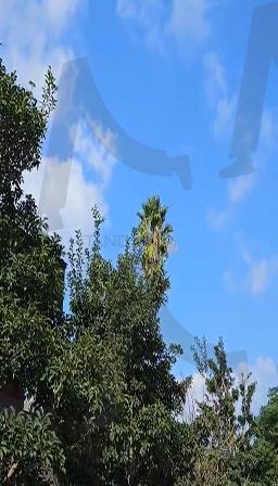 가을 하늘 | 제주도, 하늘, 풍경, 구름, 나무, 힐링, 여행 | 스탠바이 STANDBUY 디지털 콘텐츠