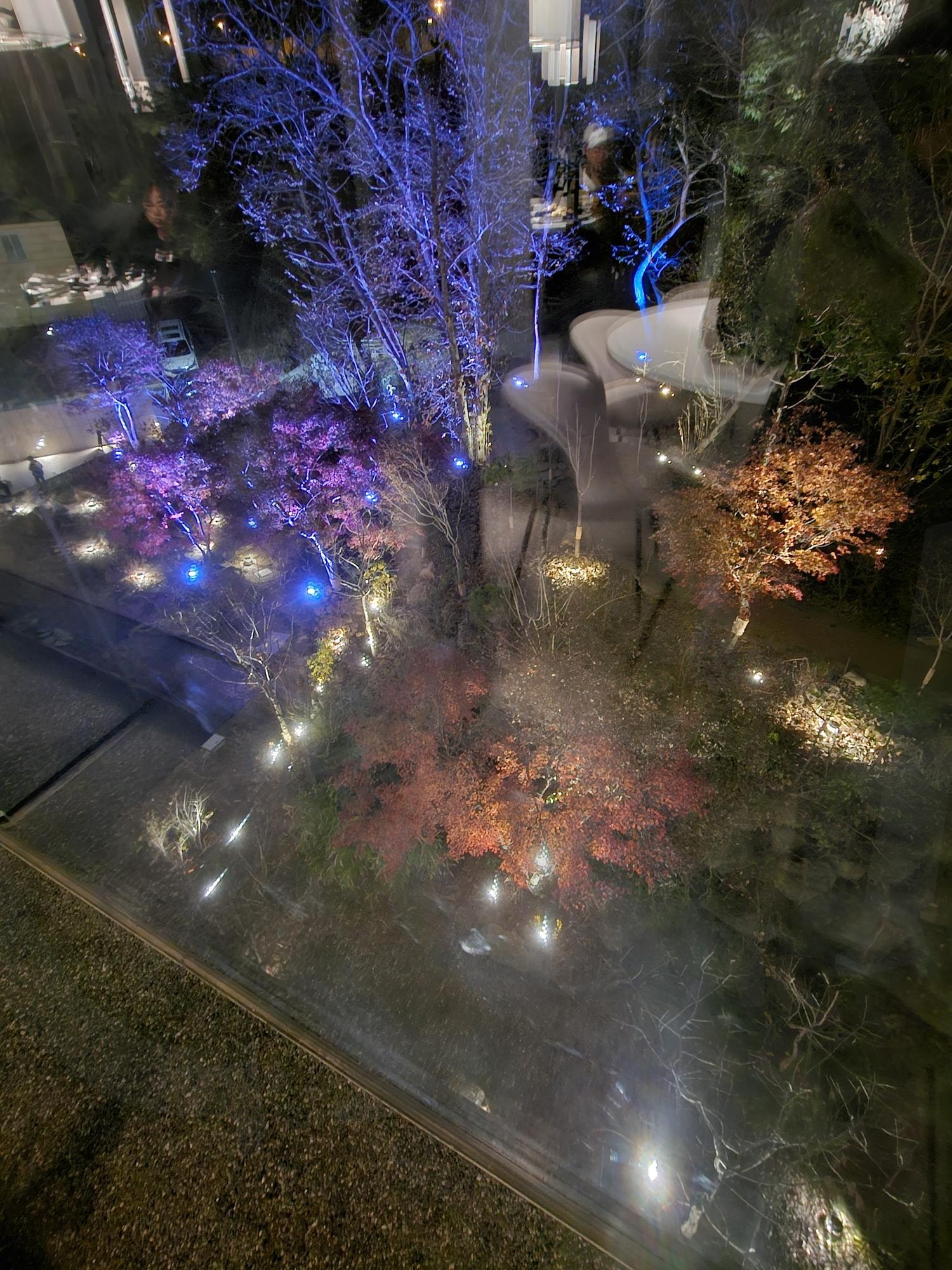 카페 | 카페, 나무, 예쁜 나무, 예쁜, 건물 | 스탠바이 STANDBUY 디지털 콘텐츠