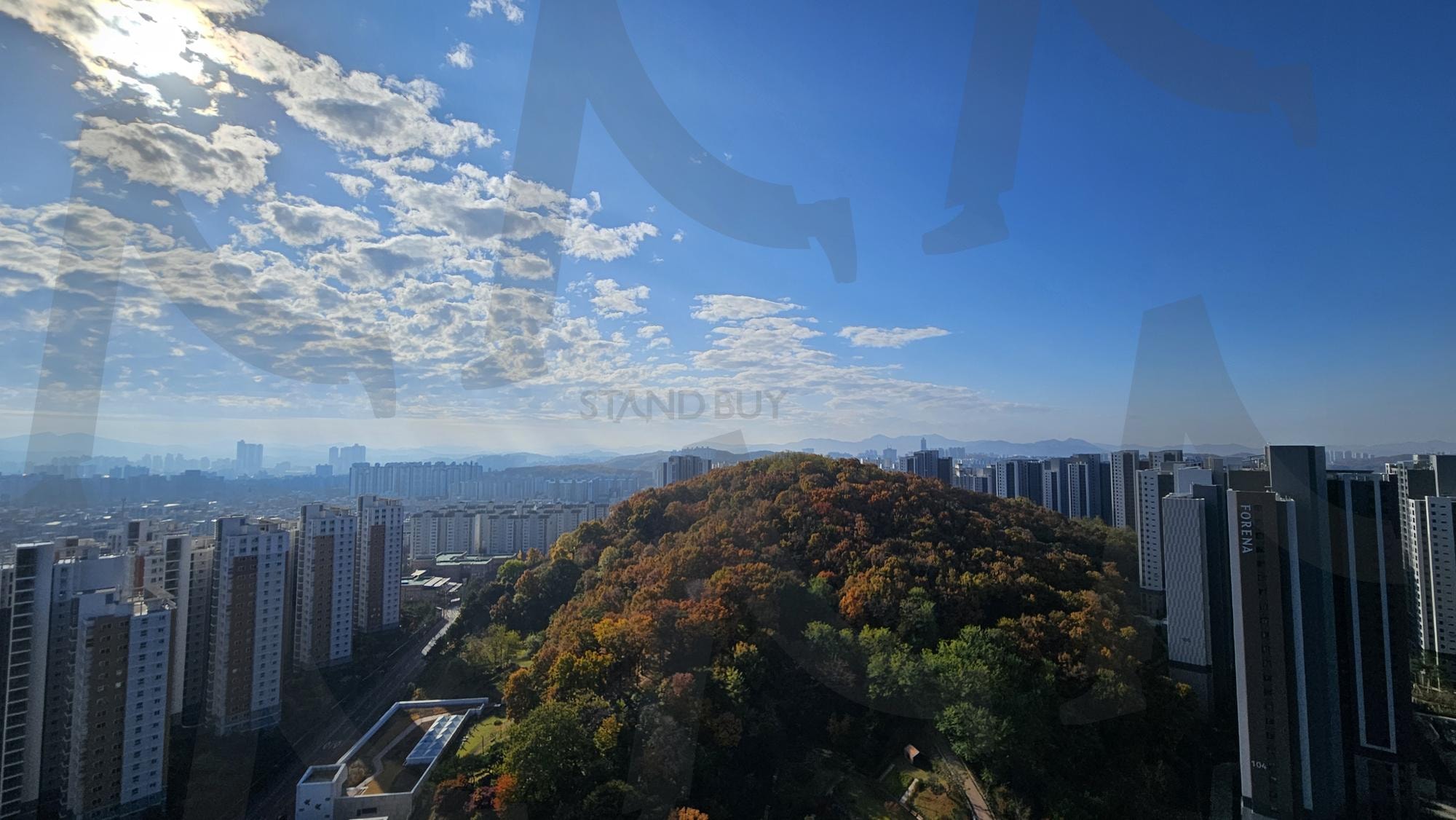 Fall Colors and Urban Contrast | autumn, foliage, city, contrast, Morning, sky, hill, residential, blue sky, colorful | 스탠바이 STANDBUY 디지털 콘텐츠