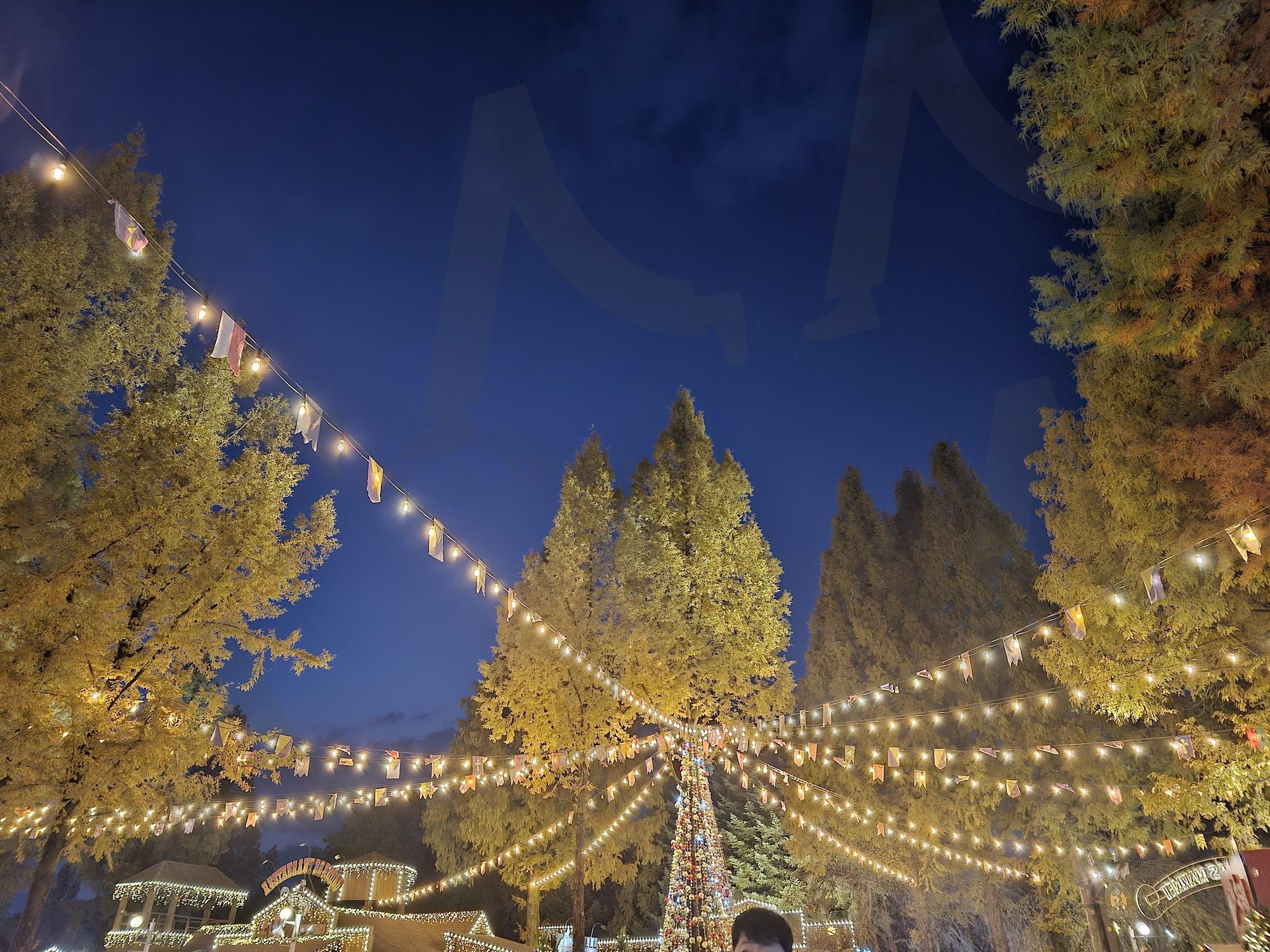 Festival Lights under Night Sky | festival, lights, night, trees, string lights, Holiday, warm, cozy, Bokeh, celebration | 스탠바이 STANDBUY 디지털 콘텐츠