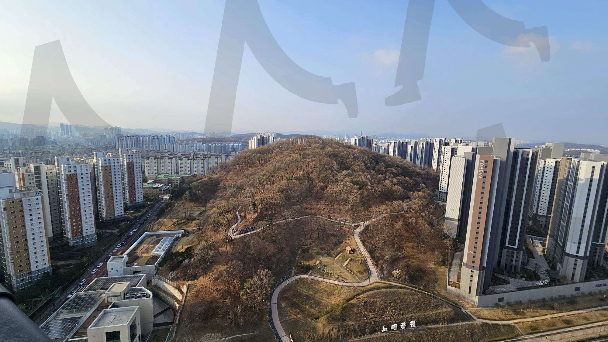 Early Spring over a Leafless Hill in the City | spring, bare trees, cityscape, Morning, hill, urban, residential, calm, skyline, transition | 스탠바이 STANDBUY 디지털 콘텐츠
