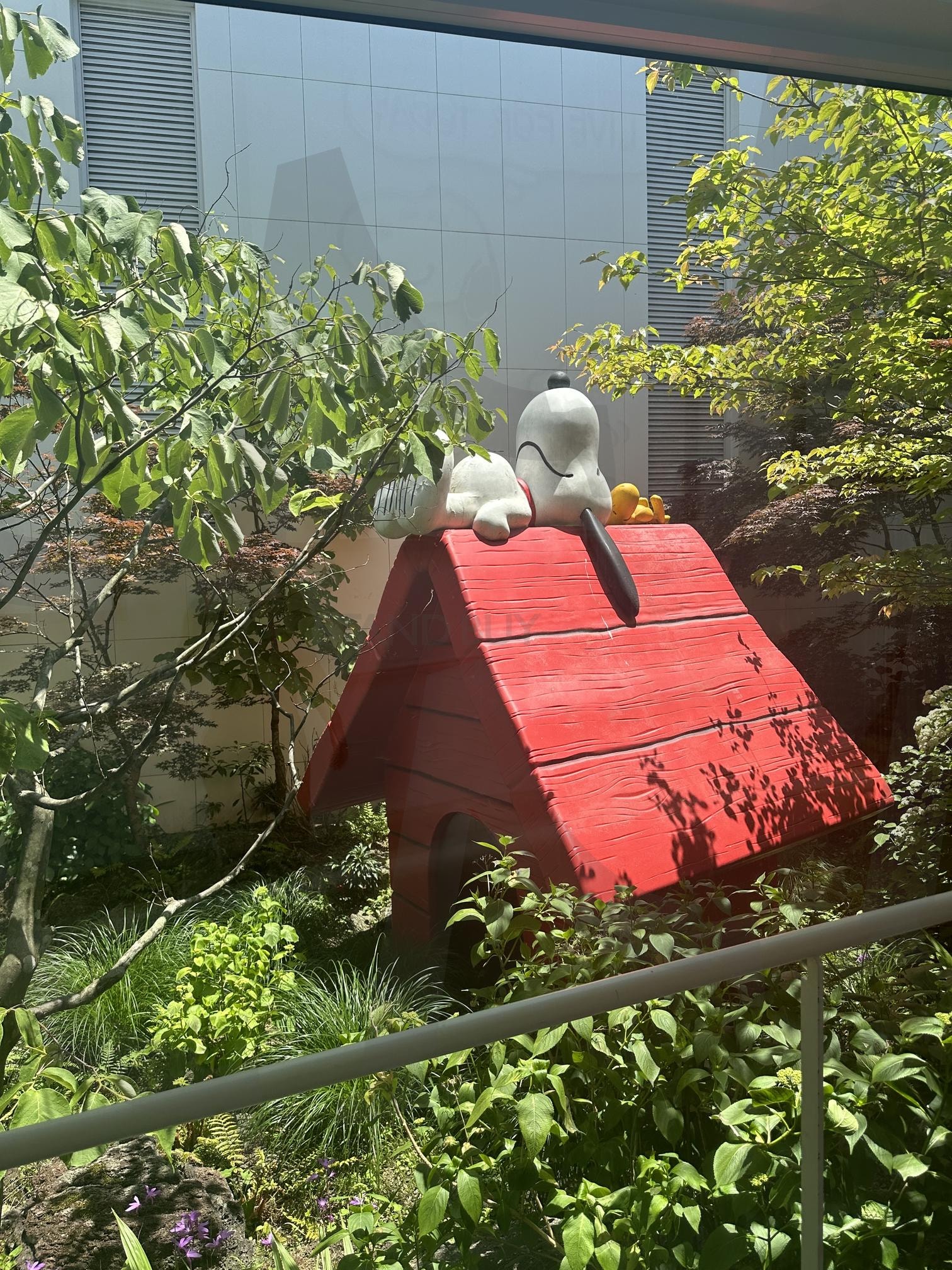 Snoppy’s home sweet home | 스누피, 강아지집, 자연, 제주도, 자연광 | 스탠바이 STANDBUY 디지털 콘텐츠