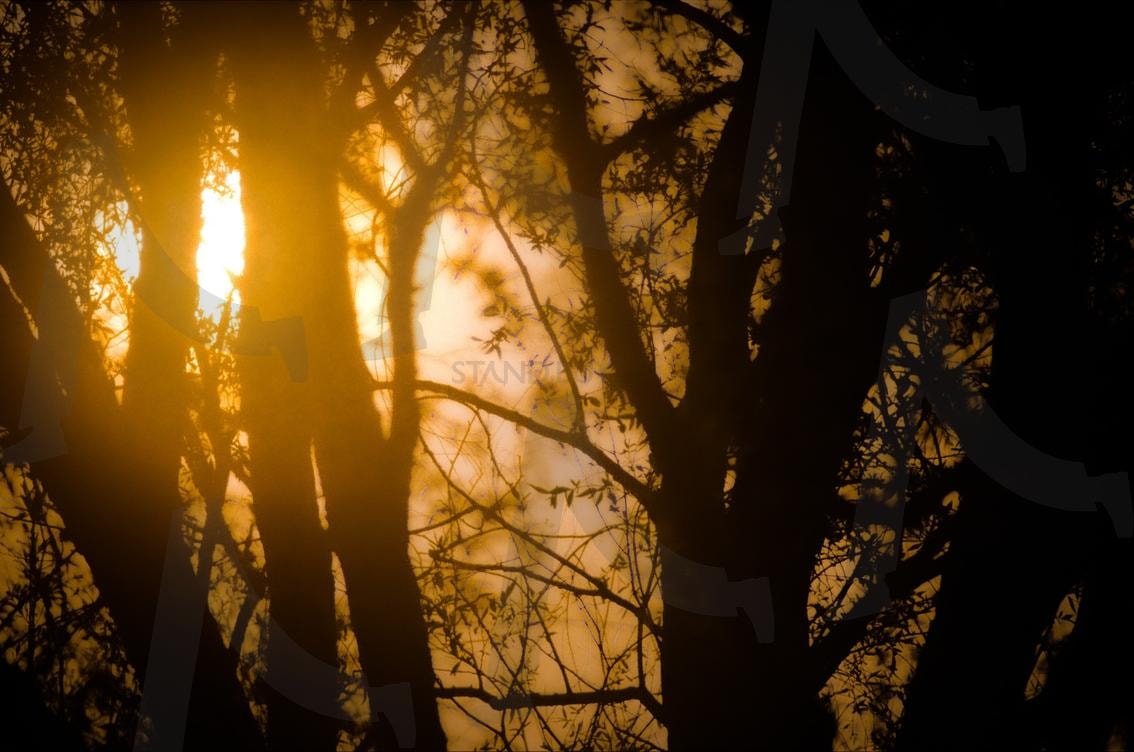 A picture of the scenery of Busan, a city in Korea | busan, korea, picture, Scenery, 한국, 부산, 풍경, 몽환적, dreamlike | 스탠바이 STANDBUY 디지털 콘텐츠