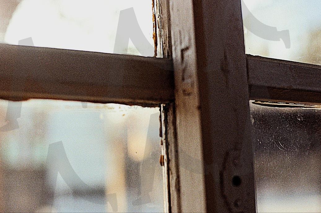 an emotional picture | Emotional, picture, 한국, 사진, 감성 | 스탠바이 STANDBUY 디지털 콘텐츠