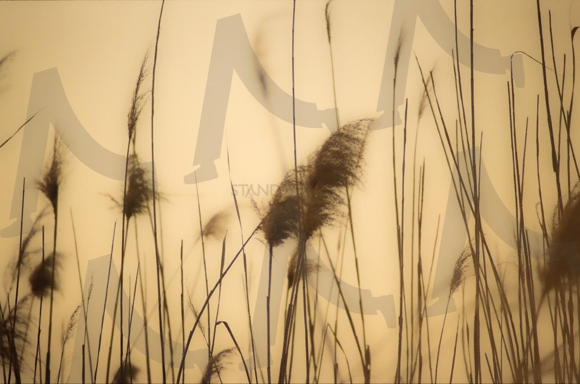 A picture of the scenery of Busan, a city in Korea | Scenery, busan, city, korea, 풍경, 부산, 한국, dreamlike | 스탠바이 STANDBUY 디지털 콘텐츠