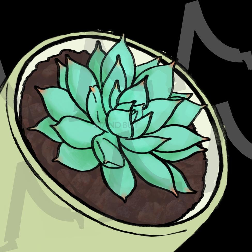 다육(정야) | 그림, 드로잉, 식물, 다육식물, 화분 | 스탠바이 STANDBUY 디지털 콘텐츠