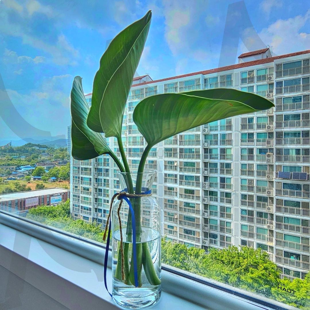 Welcome | nature, myhome, house, Green, hometown | 스탠바이 STANDBUY 디지털 콘텐츠