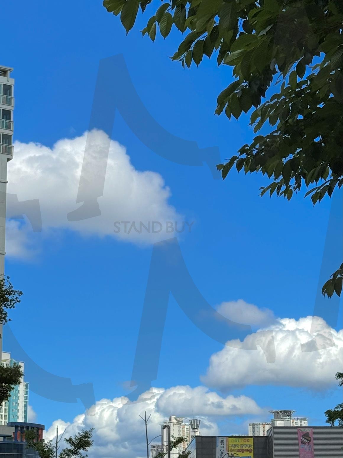 I love the sky in Pohang | 하늘, 포항, 한국, korea, sky, pohang, mood | 스탠바이 STANDBUY 디지털 콘텐츠