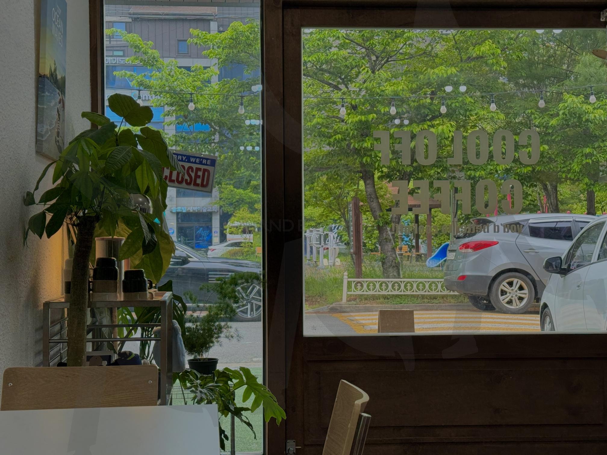 I love the greenness of Pohang | 한국, 포항, 카페, 풍경, 플랜테리어, 여유, korea, pohang, mood, Cafe | 스탠바이 STANDBUY 디지털 콘텐츠