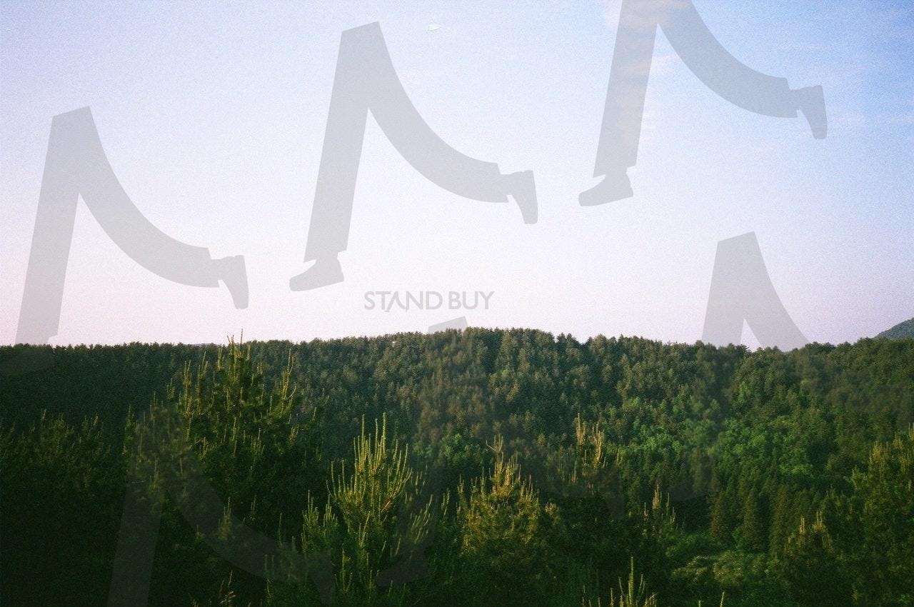 I love the greenness of Jeju | 제주도, 제주, 한국, 여행, 오름, 산, 나무, 하늘, 필름카메라, 필카 | 스탠바이 STANDBUY 디지털 콘텐츠