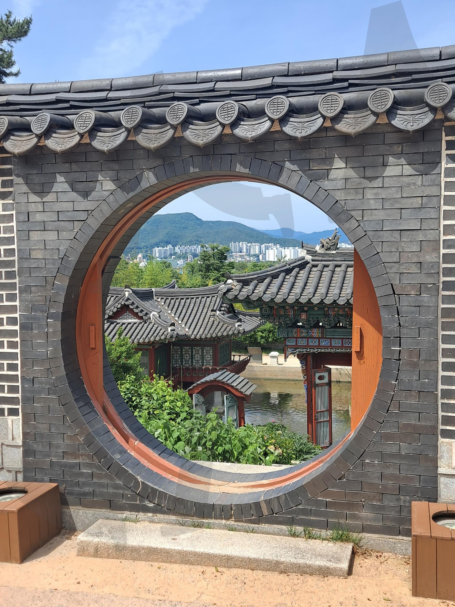 Sunlit Pathway in Suncheonman | Suncheonman National Garden, South Korea, Nature Walk, sunny day, clear sky, peaceful, outdoor | 스탠바이 STANDBUY 디지털 콘텐츠