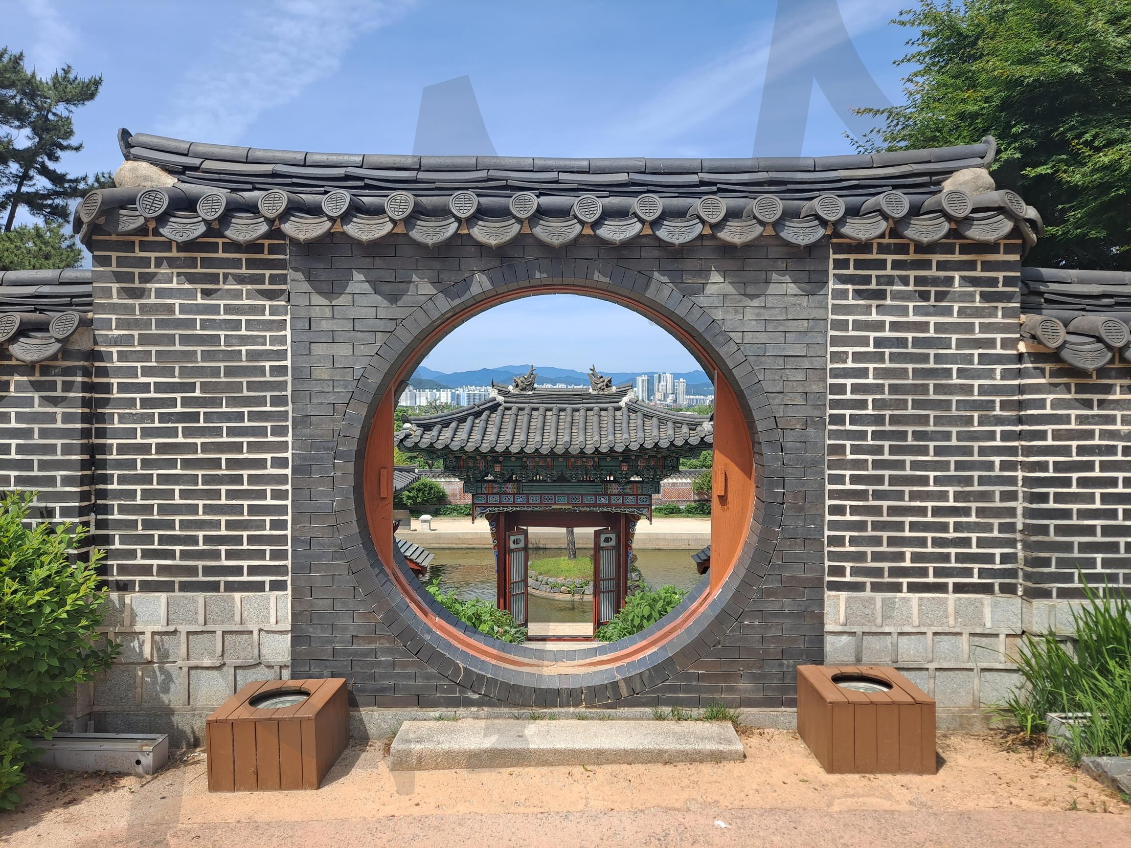 A Walk through Nature | forest path, Nature Walk, Suncheonman Garden, peaceful, travel Korea, eco park | 스탠바이 STANDBUY 디지털 콘텐츠