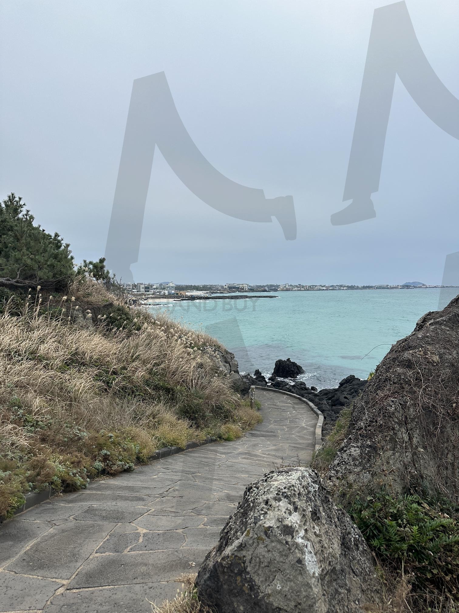 제주도 | jeju, jejuisland, 제주도, 산책길, 제주 | 스탠바이 STANDBUY 디지털 콘텐츠