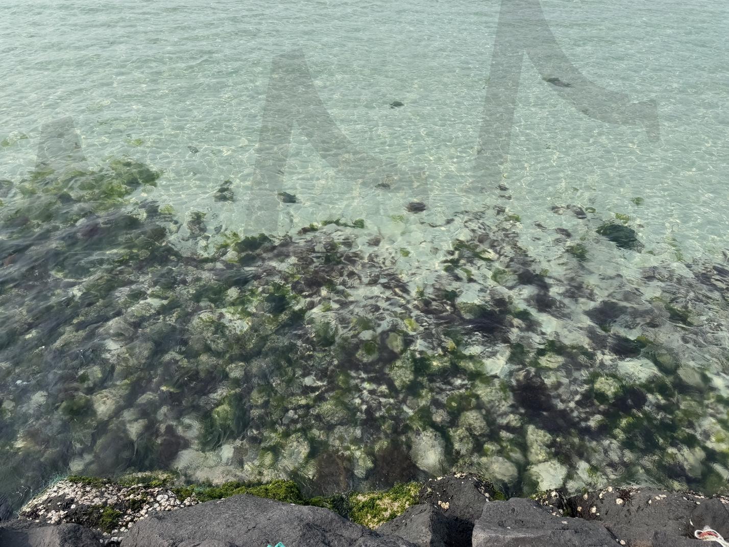 협재 | 협재, 제주바다, 제주도, 맑은, 투명한 | 스탠바이 STANDBUY 디지털 콘텐츠