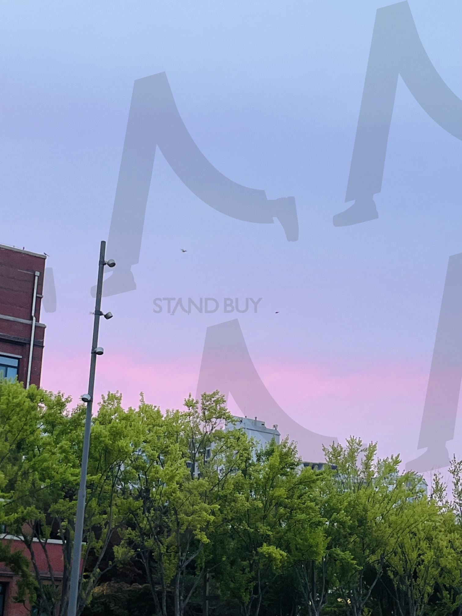 분홍빛 저녁 | 노을, 핑크하늘, 초록나무, 저녁풍경, 캠퍼스 | 스탠바이 STANDBUY 디지털 콘텐츠