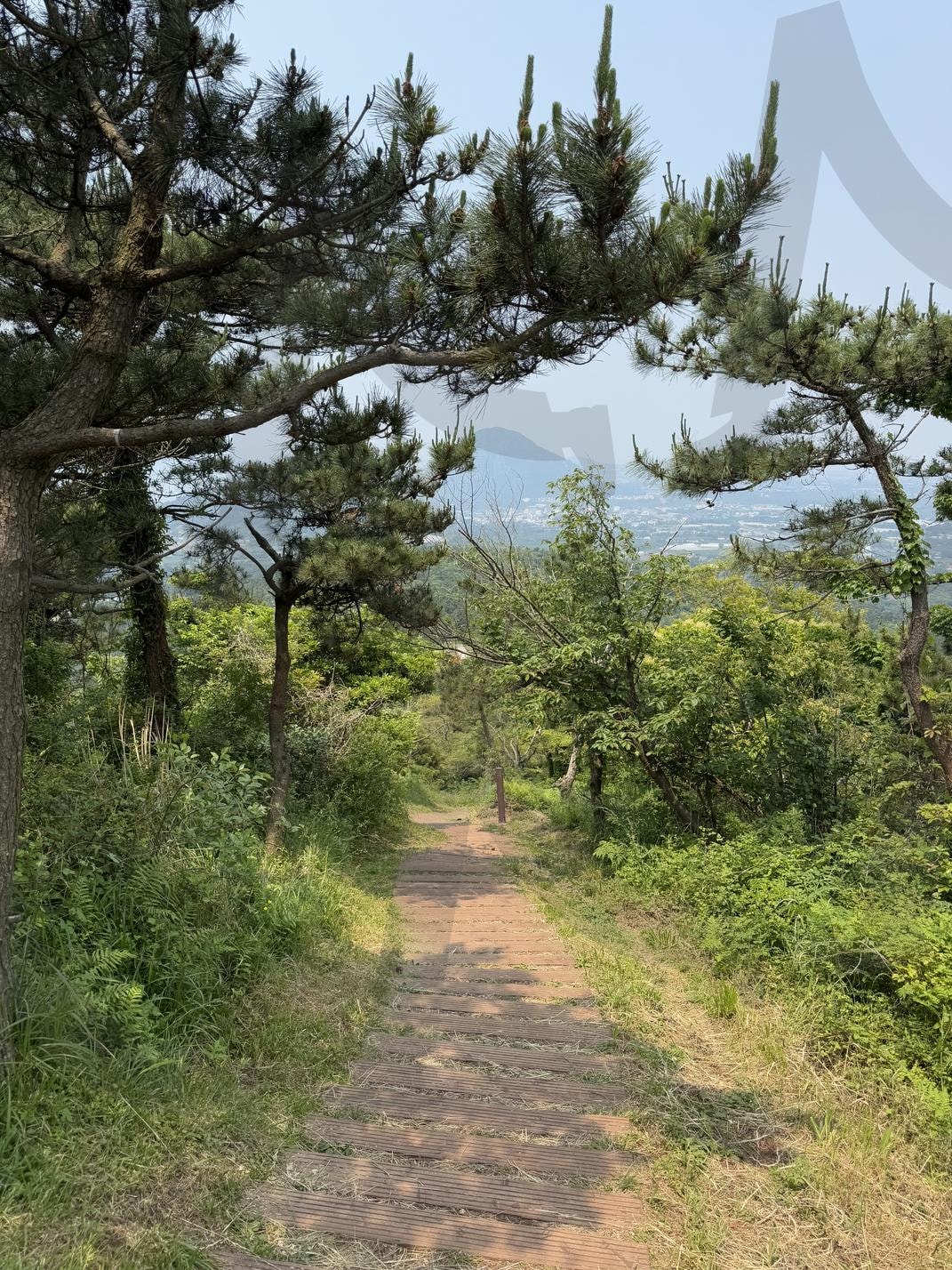 초록 터널을 지나 오름의 숨결을 따라(Walking Through Green Silence) | 제주오름, 오름길, 산책길, 초록숲, 자연산책, 감성풍경, 힐링여행, 걷고싶은길, 나무계단, 여름제주, 제주풍경, 숲속산책, 여행기록, 조용한풍경, 녹음, 숲길, 제주감성, 바람길, 등산로, 휴식의길 | 스탠바이 STANDBUY 디지털 콘텐츠