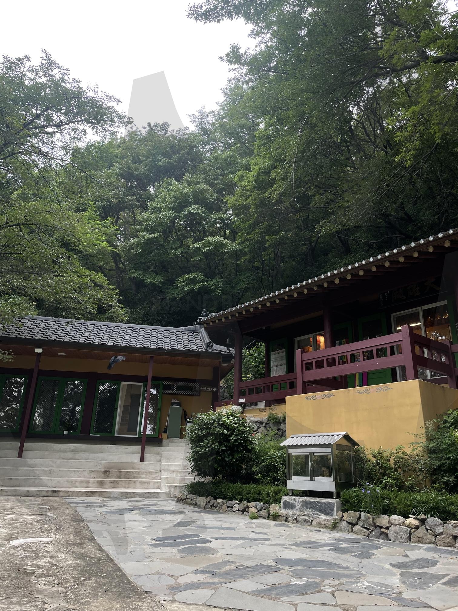 Tranquil Temple Courtyard at Haegwangsa in busan | korean temple, traditional architecture, forest, courtyard, meditation, spiritual, peaceful, mountain, Buddhism, travel Korea, Zen | 스탠바이 STANDBUY 디지털 콘텐츠