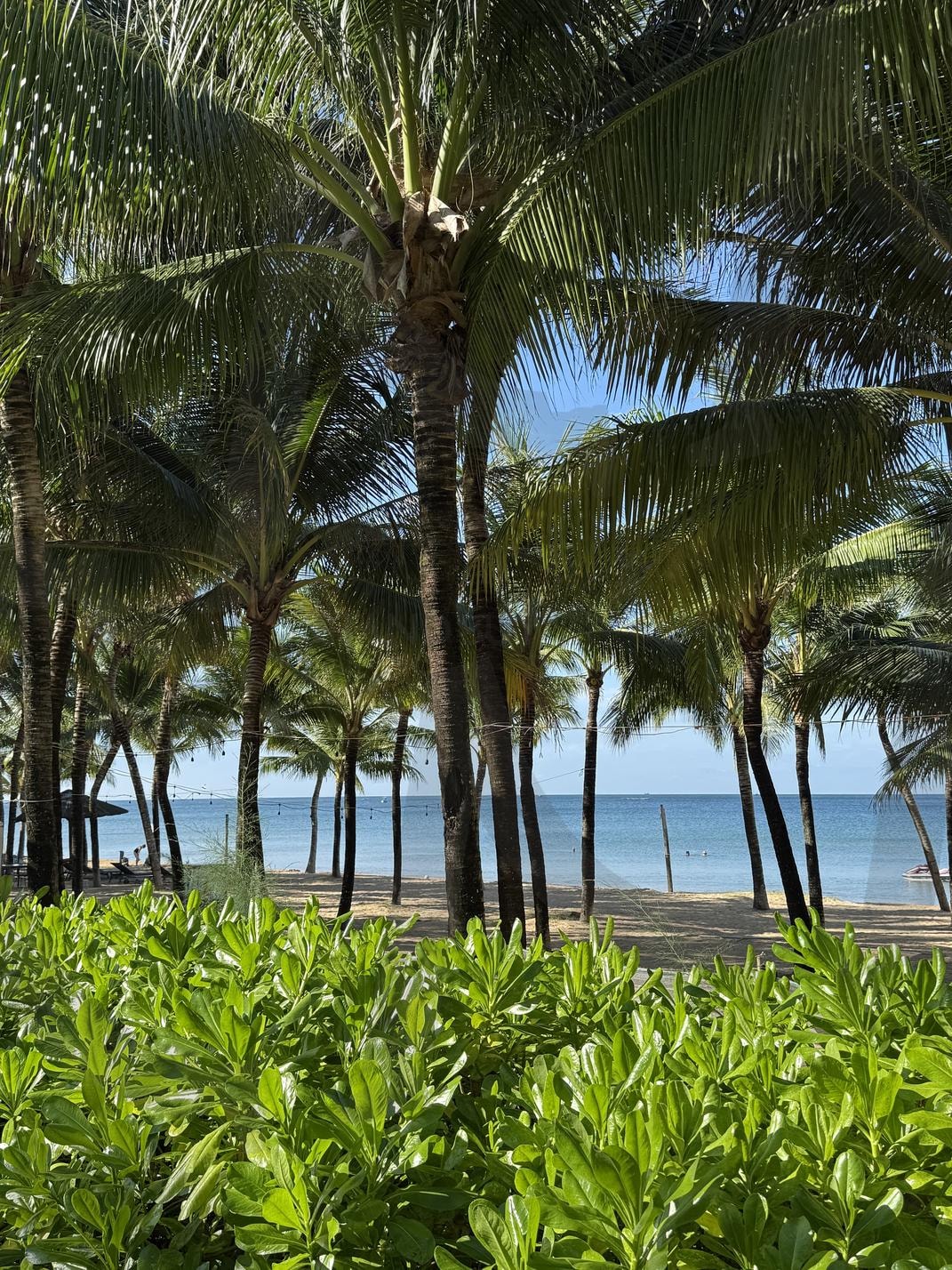 푸꾸옥 소나가 해변2(Phu Quoc Sonaga Beach) | 여행, 베트남, 푸꾸옥, 섬, 소나가해변, 바다, 야자, 자유 | 스탠바이 STANDBUY 디지털 콘텐츠