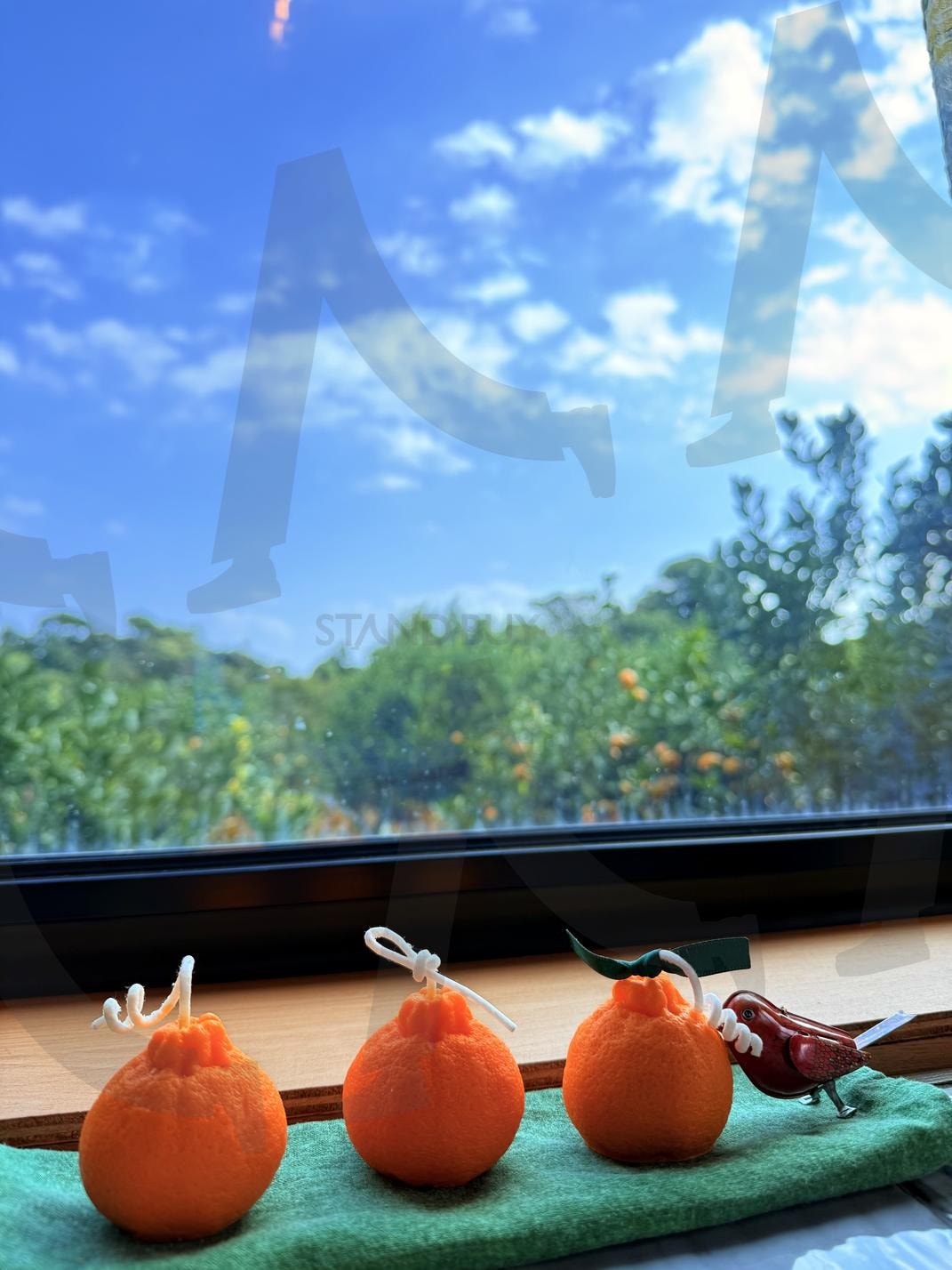 자연과 인류와의 '사이' 2(between natural or humanity) | 제주, 온평리, 마을, 식당, 자연 | 스탠바이 STANDBUY 디지털 콘텐츠