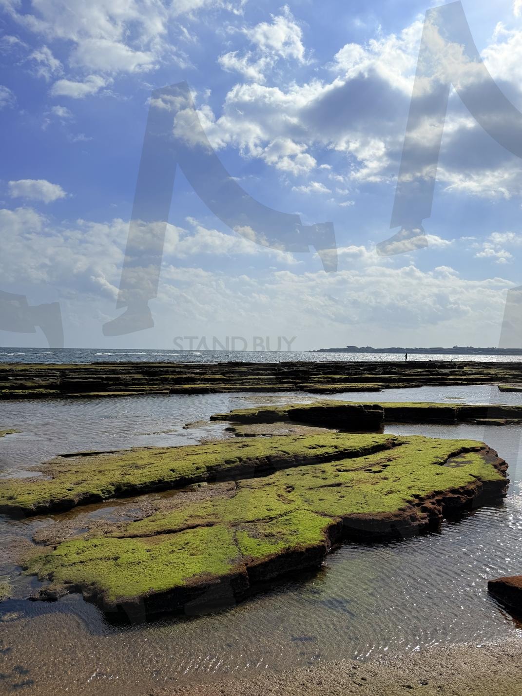 광치기 해변3(Gwangchigi Beach) | 제주, 광치기해변, 반대쪽, 바다, 구름 | 스탠바이 STANDBUY 디지털 콘텐츠