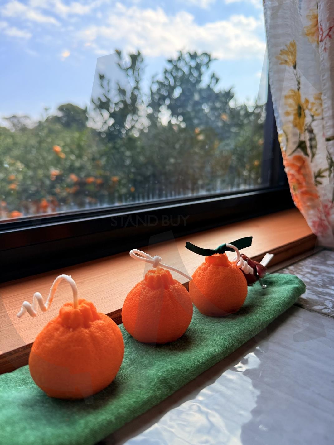 자연과 인류와의 '사이' 3(between natural or humanity) | 제주, 온평리, 마을, 식당, 자연 | 스탠바이 STANDBUY 디지털 콘텐츠