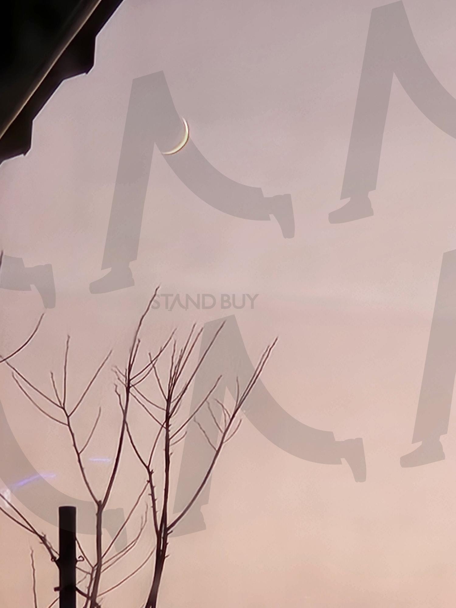 앙상한 가지와 저물어가는 하늘의 달 | 나무, 나뭇가지, 하늘, 달, 풍경, 추워지는, 서늘한, 바람, 쓸쓸함 | 스탠바이 STANDBUY 디지털 콘텐츠