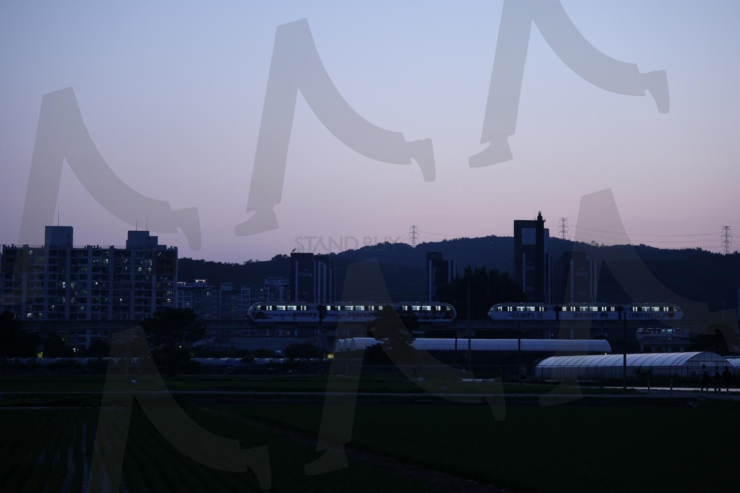 대구 지상철 | 지상철, 노을, 노을과지상철, 논밭, 도시와자연 | 스탠바이 STANDBUY 디지털 콘텐츠