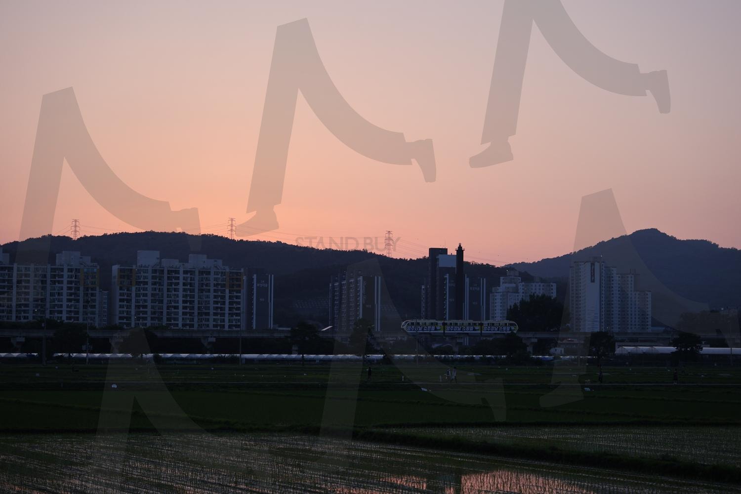 노을 | 지상철, 노을, 논밭, 자연과도시, 도시와자연 | 스탠바이 STANDBUY 디지털 콘텐츠