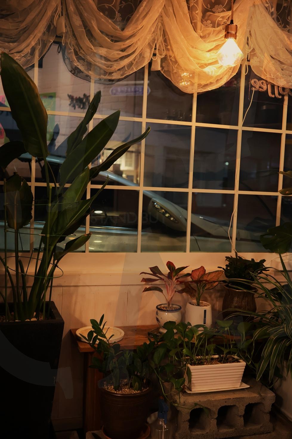 카페 창가 | 카페, 창가, 화분, 화분카페, 레트로카페 | 스탠바이 STANDBUY 디지털 콘텐츠