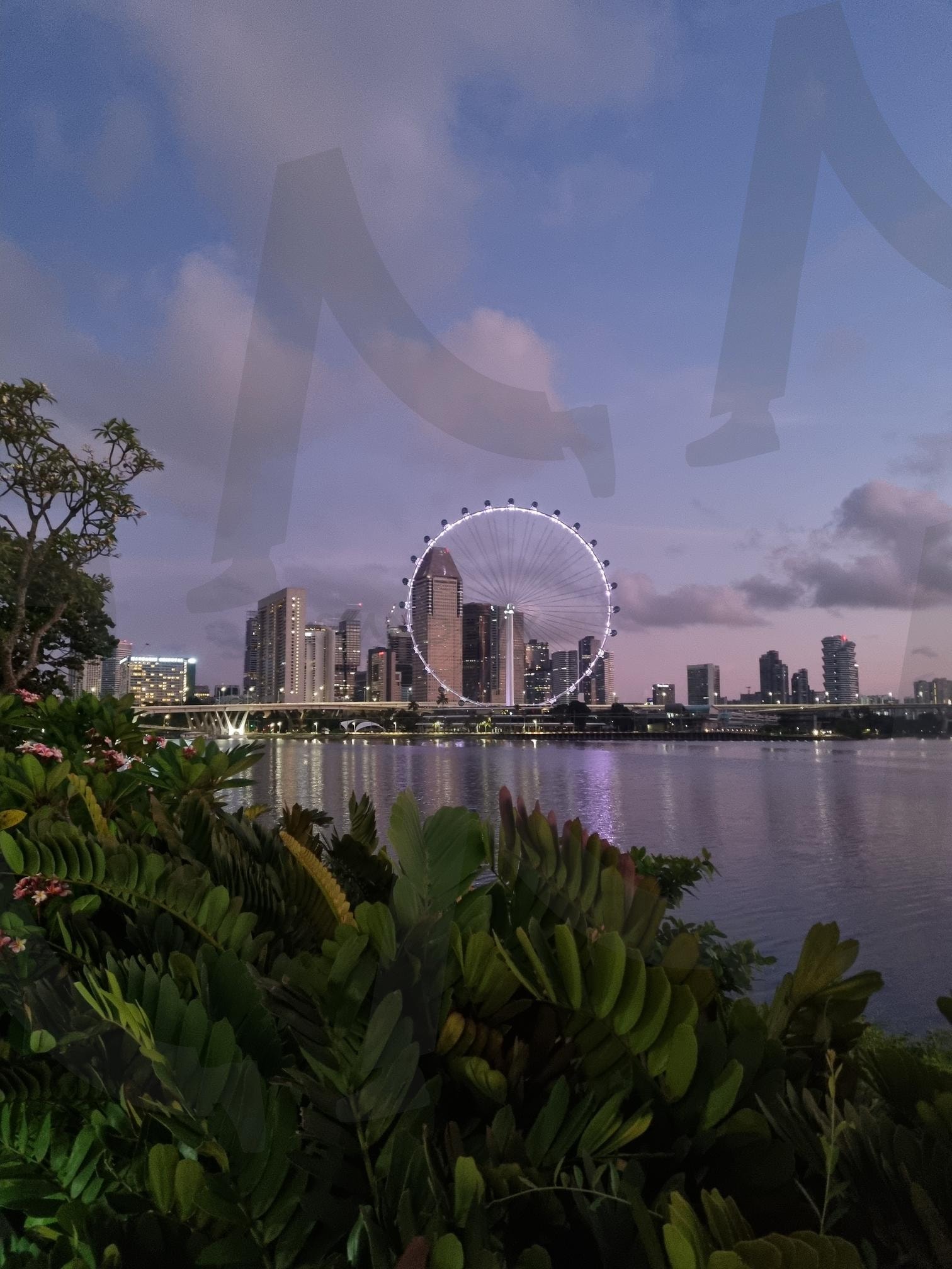 Flyer at Dawn | Flyer, Singapore, 싱가포르, 플라이어, 싱가포르관광 | 스탠바이 STANDBUY 디지털 콘텐츠