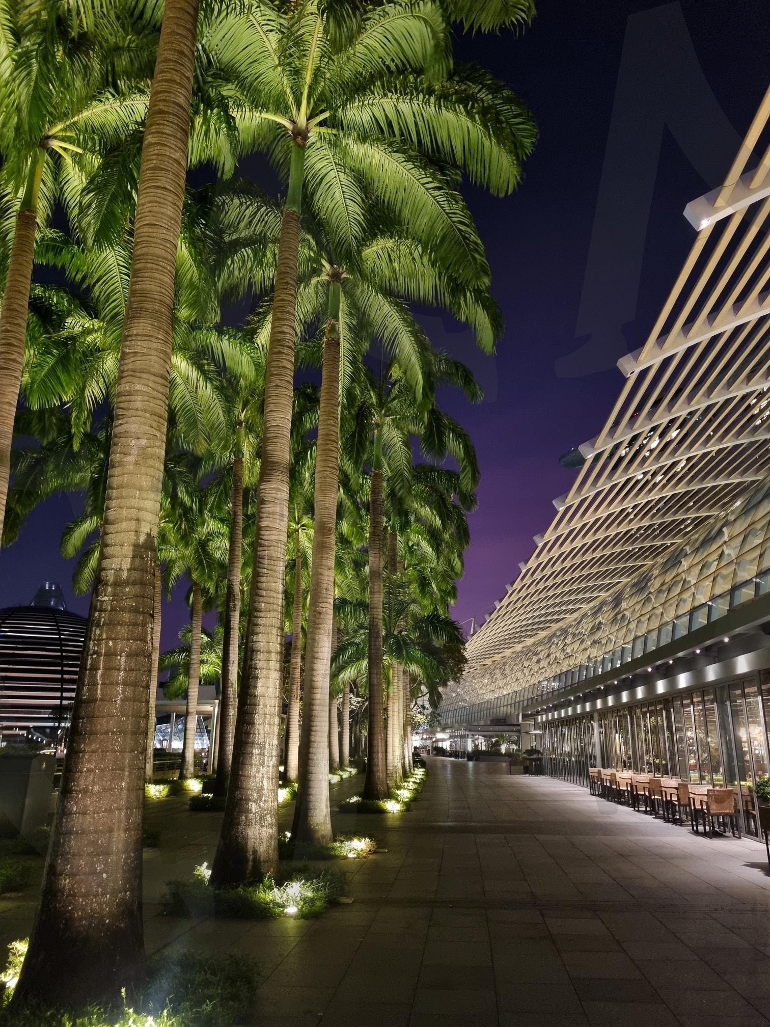 Marina Bay Sands at Dawn | marinabaysands, MBS, Singapore, 마리나베이샌즈, 싱가폴, 팜트리, Parmtree, morningwalk, 새벽산책 | 스탠바이 STANDBUY 디지털 콘텐츠