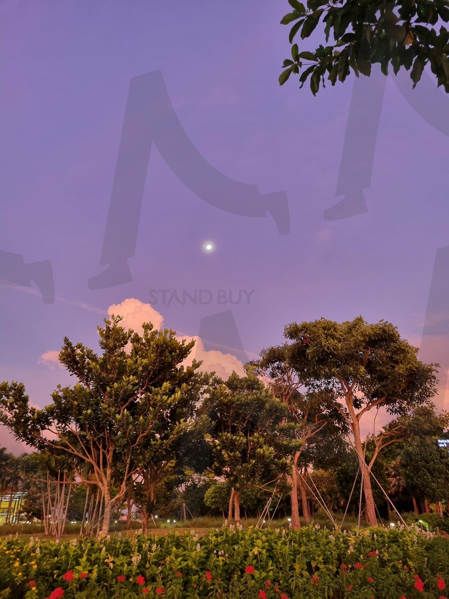 싱가폴 새벽 / Singapore at Dawn | 싱가폴, 싱가폴새벽, Singpaore, singpaoreatdawn, dawn, 새벽, 싱가폴관광 | 스탠바이 STANDBUY 디지털 콘텐츠