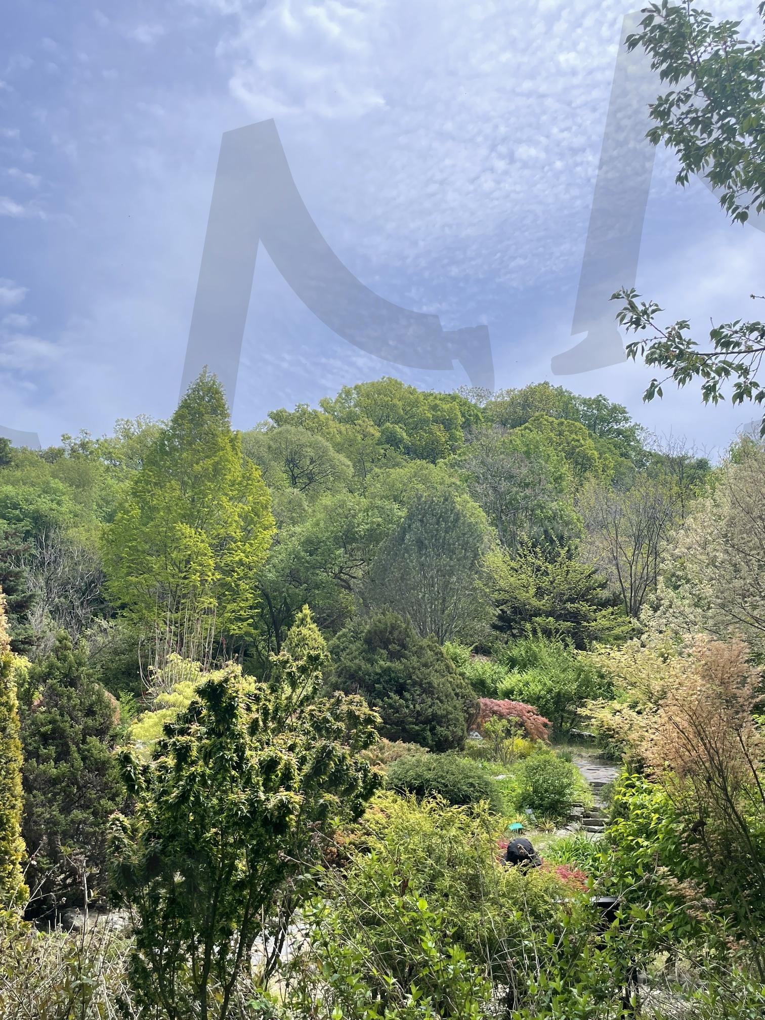 강원도춘천제이드가든 | 한국정원, 한국숲, 강원도춘천, 강원도여행, 한국여행지, 춘천여행, 제이드가든 | 스탠바이 STANDBUY 디지털 콘텐츠