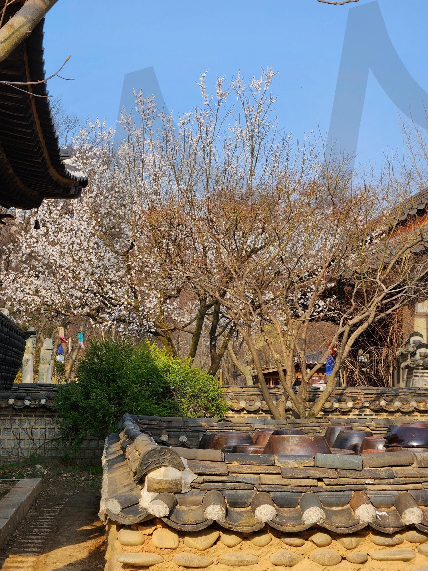 한국의 옛 정취-용인 민속촌 | 용인민속촌, 조선시대, 한옥풍경, koreantradition, FolkVillageVibes | 스탠바이 STANDBUY 디지털 콘텐츠