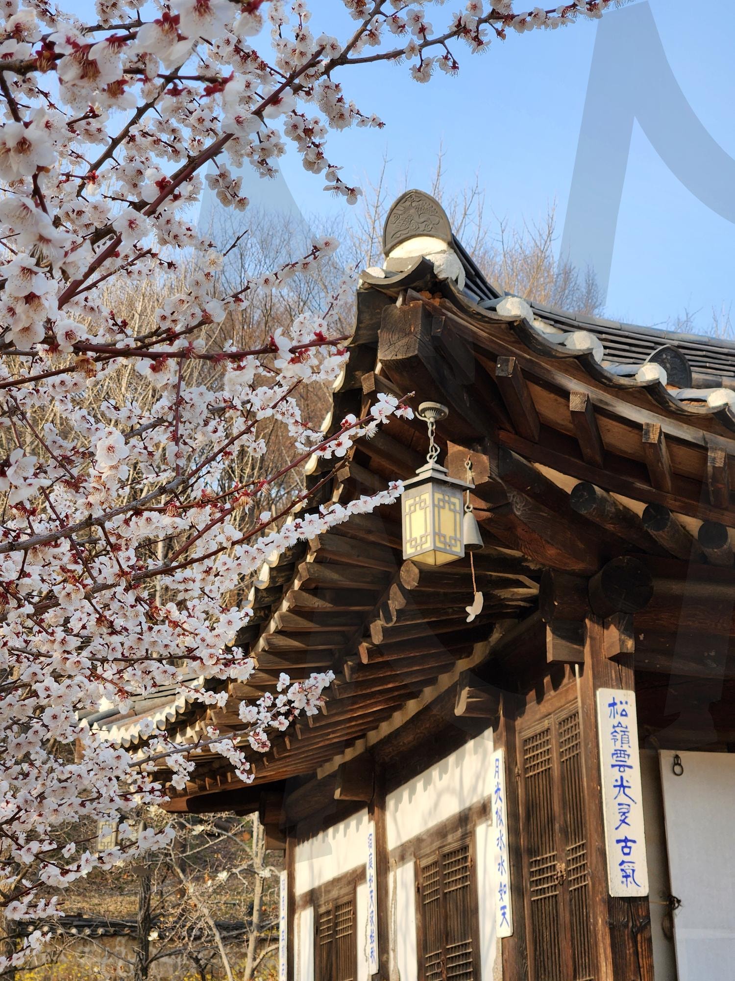 한국의 옛 정취-용인 민속촌 | 용인민속촌, 조선시대, 한옥풍경, koreantradition, HanokVibes | 스탠바이 STANDBUY 디지털 콘텐츠