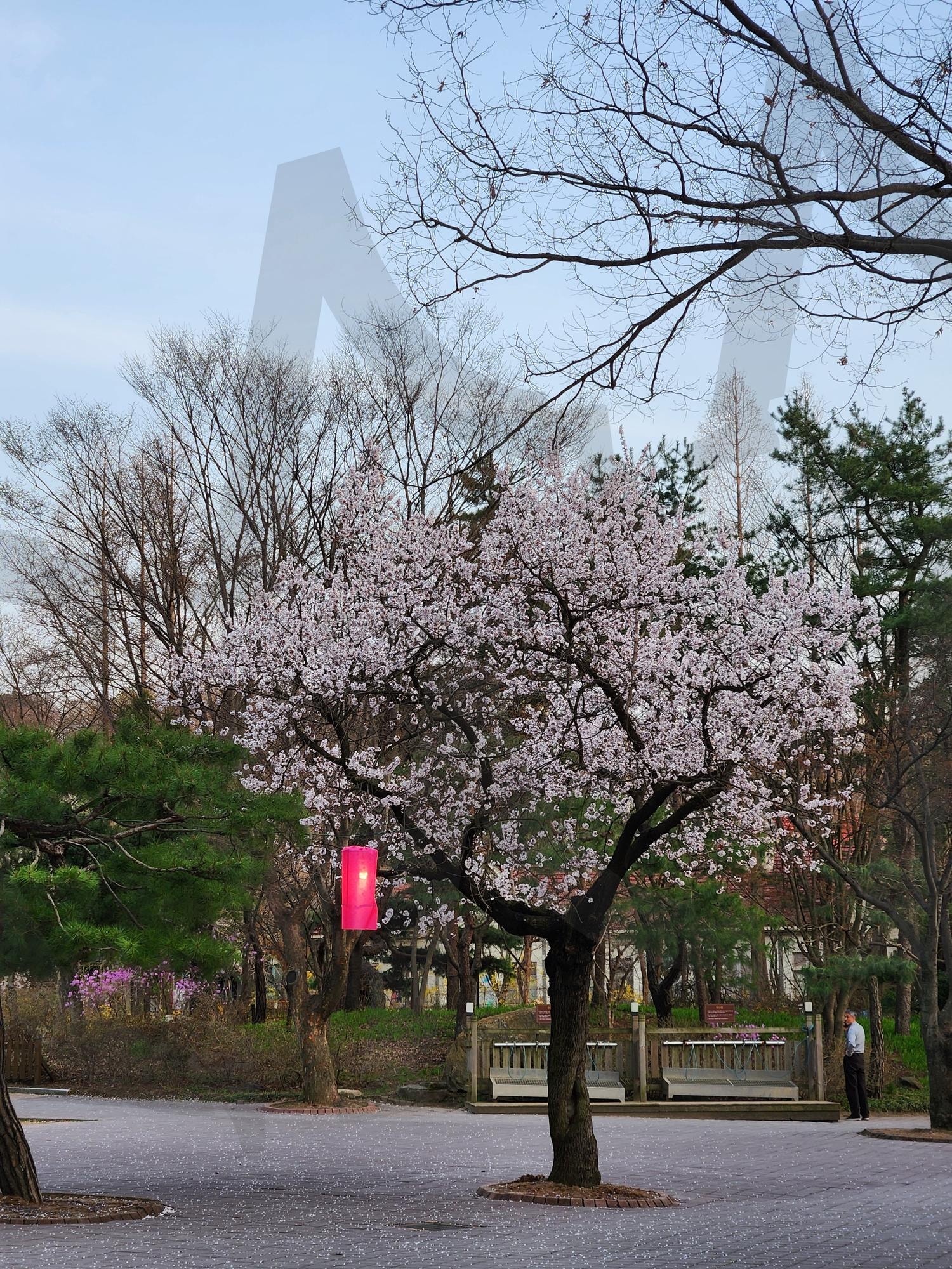 한국의 옛 정취-용인 민속촌 | 용인민속촌, 조선시대, 한옥풍경, koreantradition, HanokVibes | 스탠바이 STANDBUY 디지털 콘텐츠