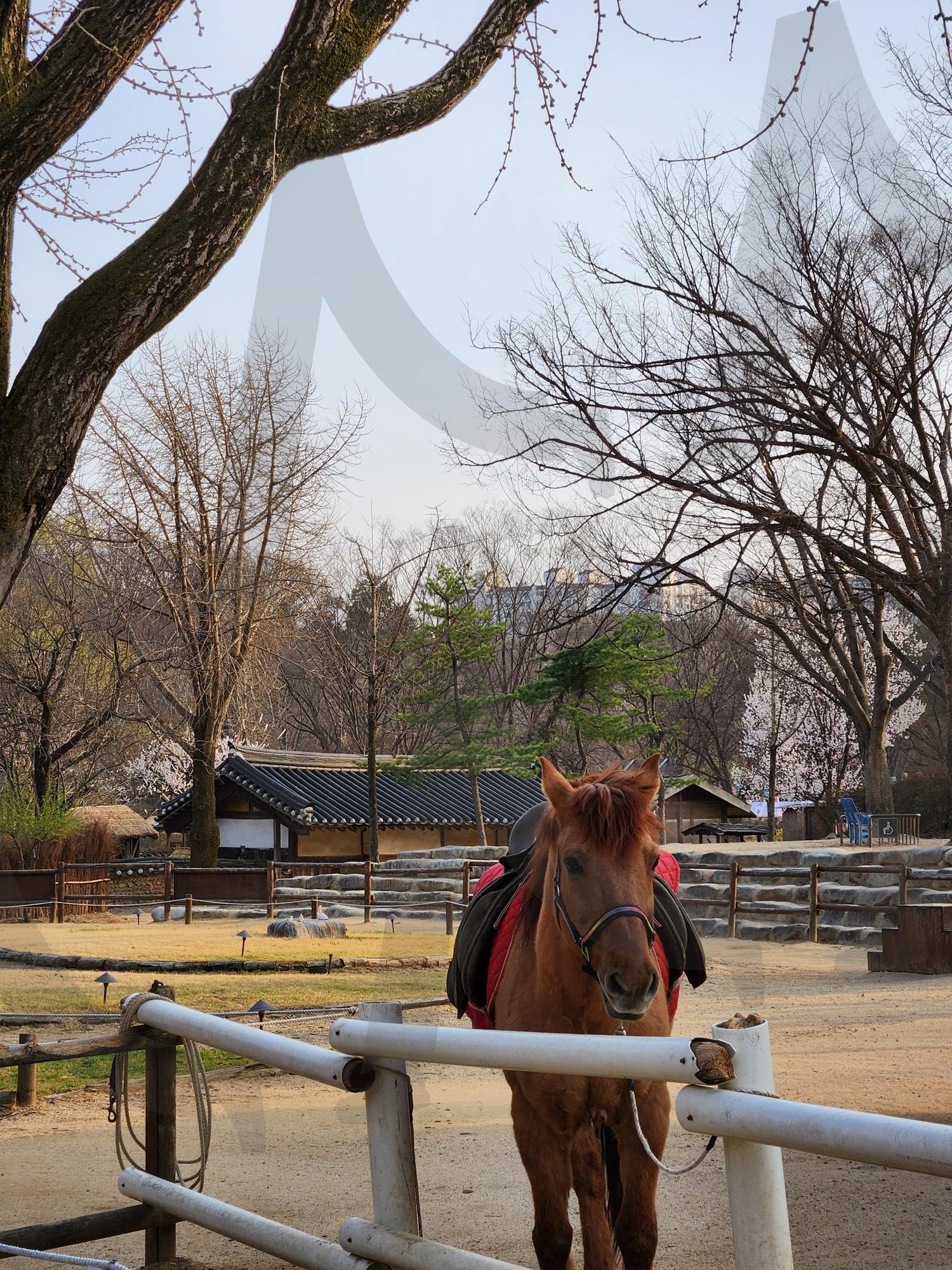 한국의 옛 정취-용인 민속촌 | 용인민속촌, 조선시대, 한옥풍경, koreantradition, HanokVibes | 스탠바이 STANDBUY 디지털 콘텐츠