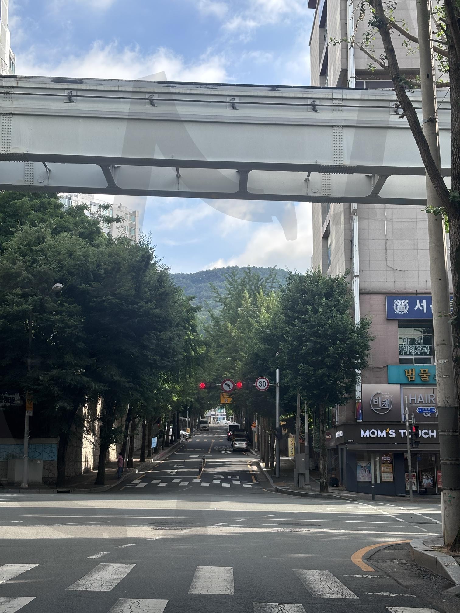 Street in Daegu, South Korea | Street in Daegu, South Korea, 대구, 길거리, 사진 | 스탠바이 STANDBUY 디지털 콘텐츠