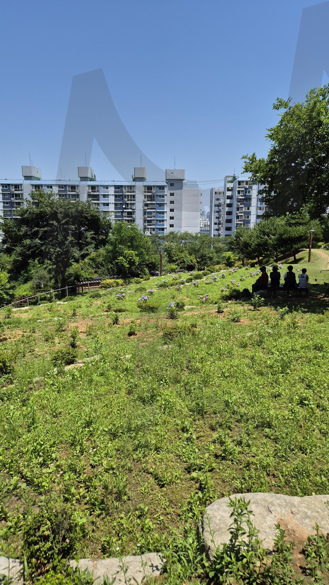 자연과 도심 | SunnyDayScenery, KoreanApartmentComplex, 도심속자연, UrbanNature, KoreanUrbanLandscape, 여름풍경 | 스탠바이 STANDBUY 디지털 콘텐츠
