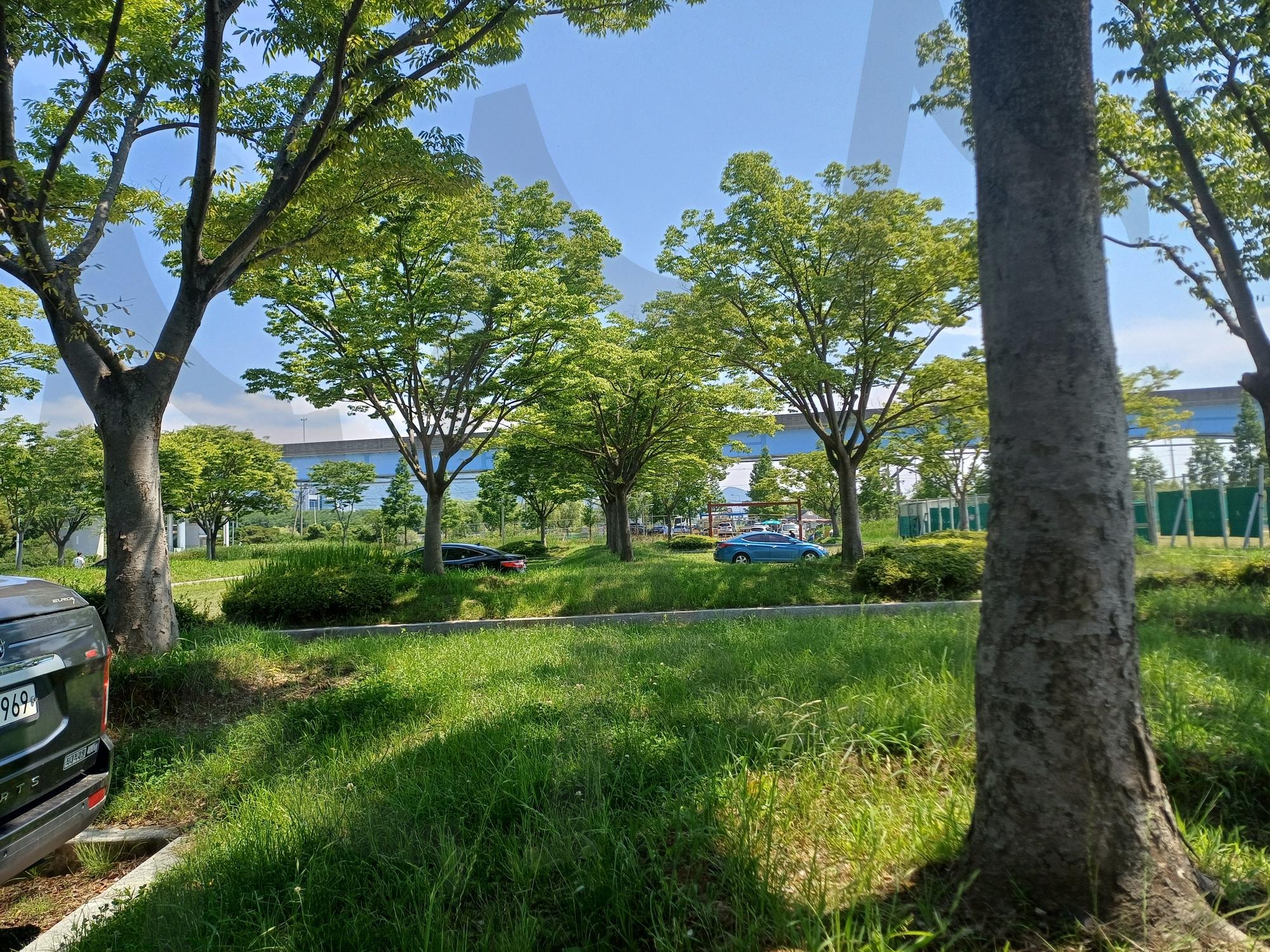 평화로운 여름 낮의 공원(a peaceful summer day park) | 평화로운, 여름, 낮, 공원, peaceful, summer, day, park | 스탠바이 STANDBUY 디지털 콘텐츠