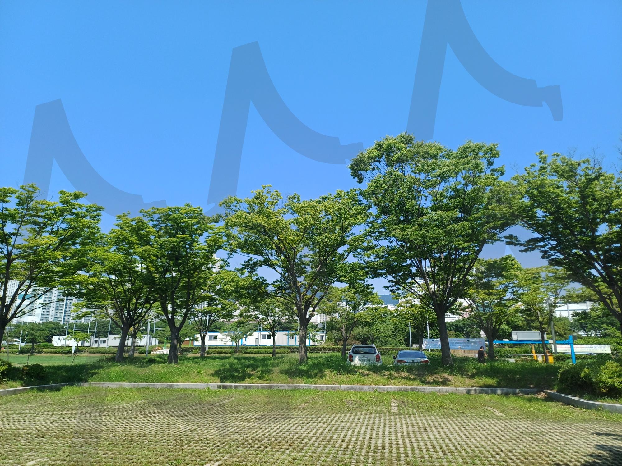 평화로운 여름 낮(a peaceful summer day) | 평화로운, 여름, 낮, peaceful, summer, day | 스탠바이 STANDBUY 디지털 콘텐츠