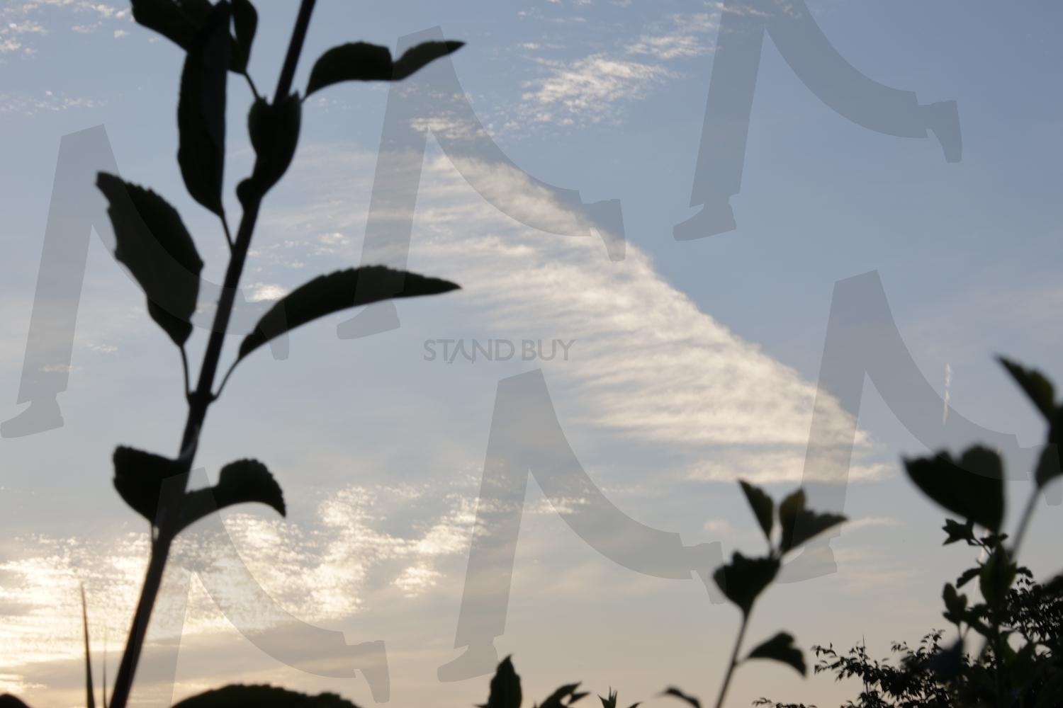 구름 | 털구름, 권운, 권적운, 털쌘구름, 털층구름, 권층운, 구름, 하늘 | 스탠바이 STANDBUY 디지털 콘텐츠