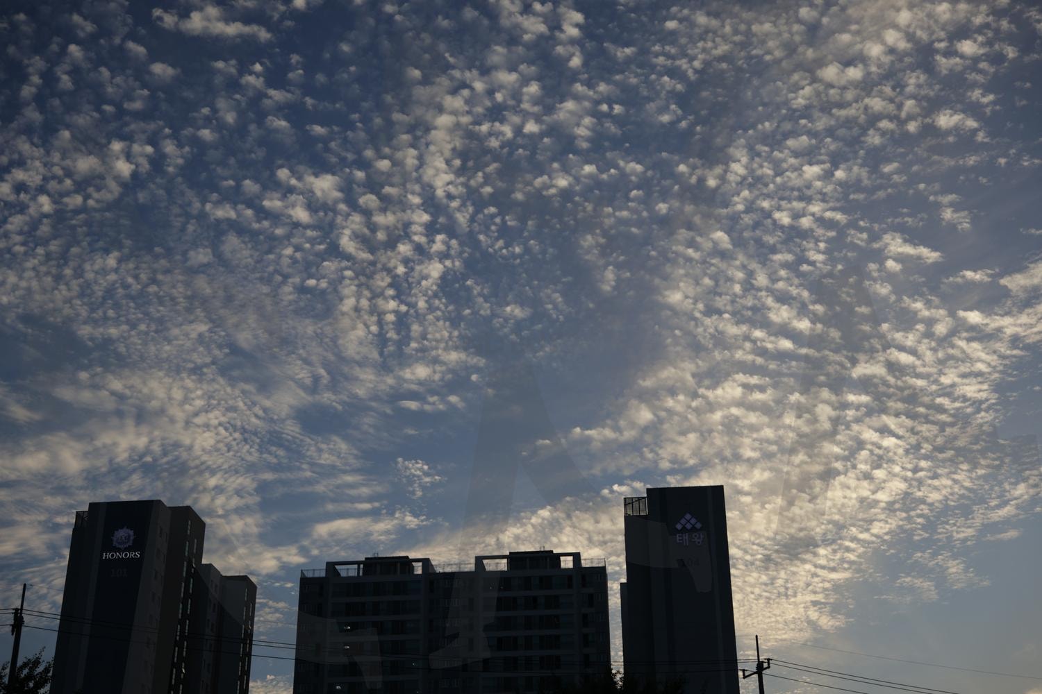 구름 | 권적운, 떨샌구름, 구름, 하늘, 털구름 | 스탠바이 STANDBUY 디지털 콘텐츠