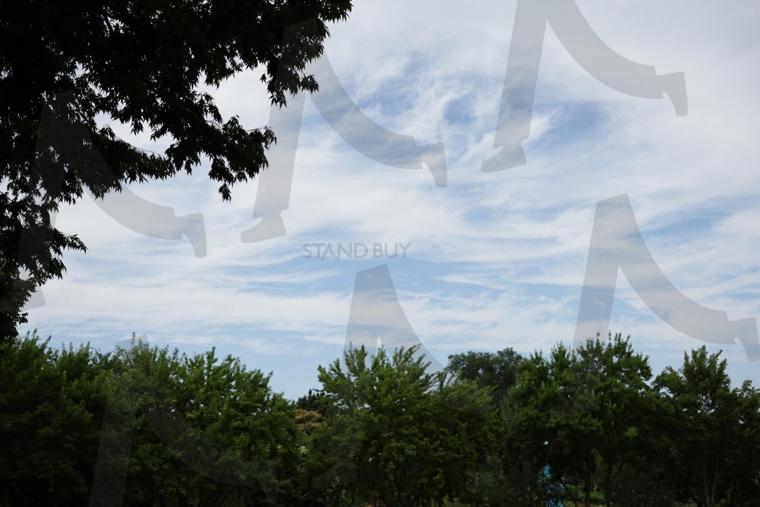 털구름 | 권층운, 털구름, 털층구름, 털쌘구름, 권적운, 하늘, 구름, 하늘색 | 스탠바이 STANDBUY 디지털 콘텐츠