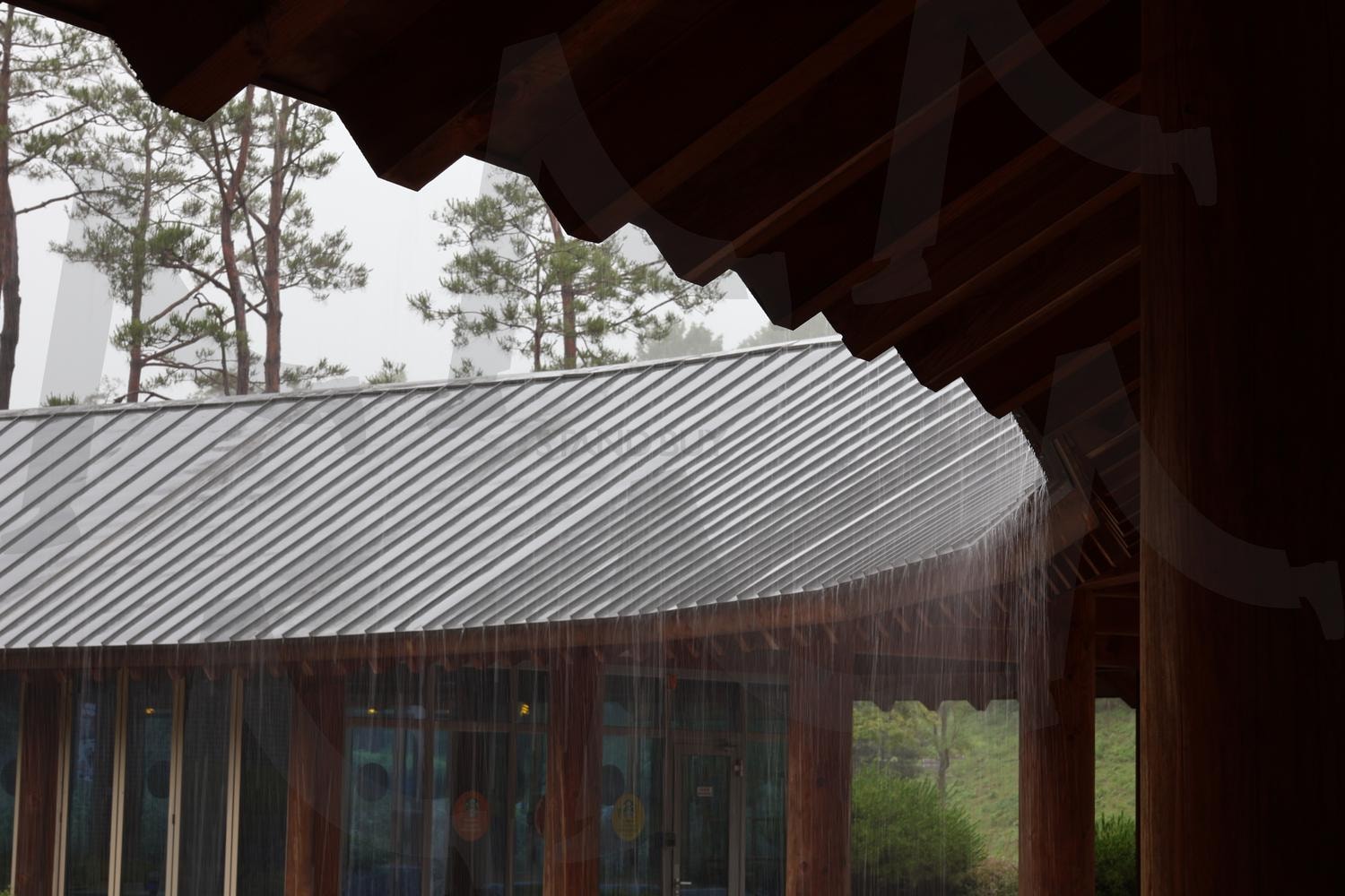 비오는날 기와집 | 빗물, 비, 기와집, 비오는날, 비오는날기와집, 처마밑, 비오는날처마밑, 처마 | 스탠바이 STANDBUY 디지털 콘텐츠