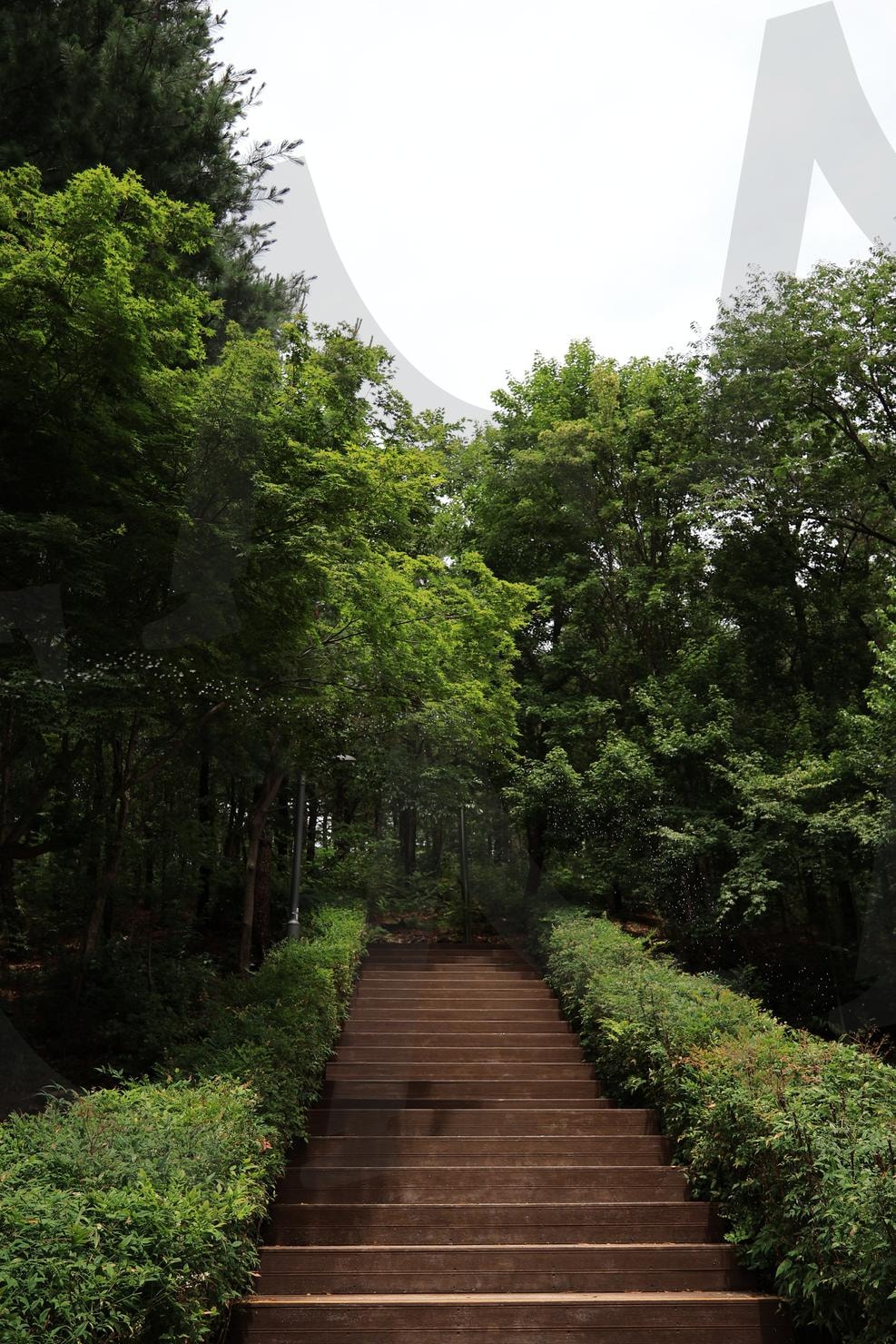계단 | 산, 계단, 산책, 산책계단, 산책길, 자연, 흐린날 | 스탠바이 STANDBUY 디지털 콘텐츠